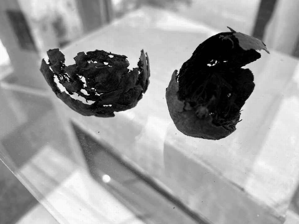 2021-05-29-10.52.071-i